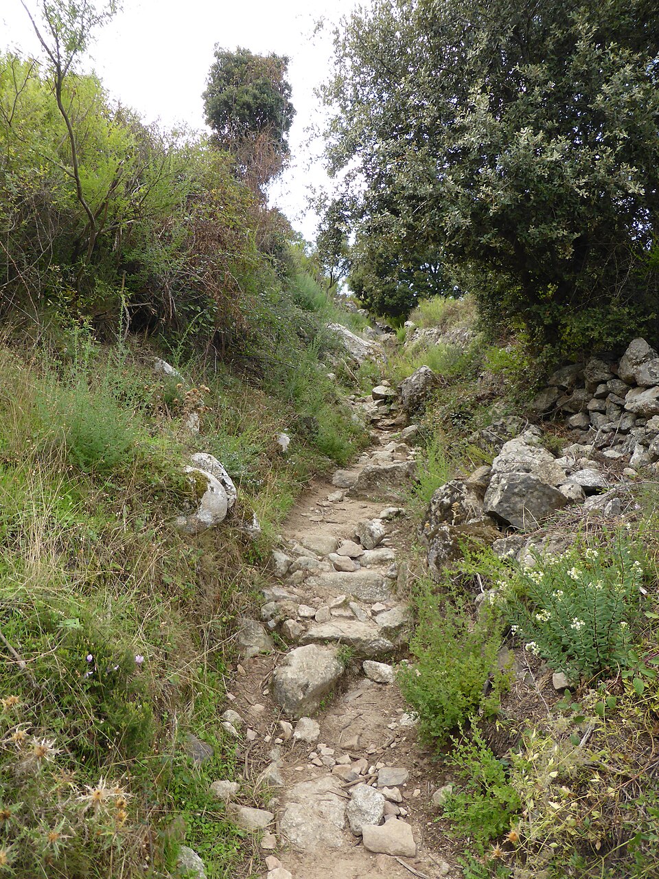 Sentier pierreux photographié entre Calenzana et Ortu di u Piobbu