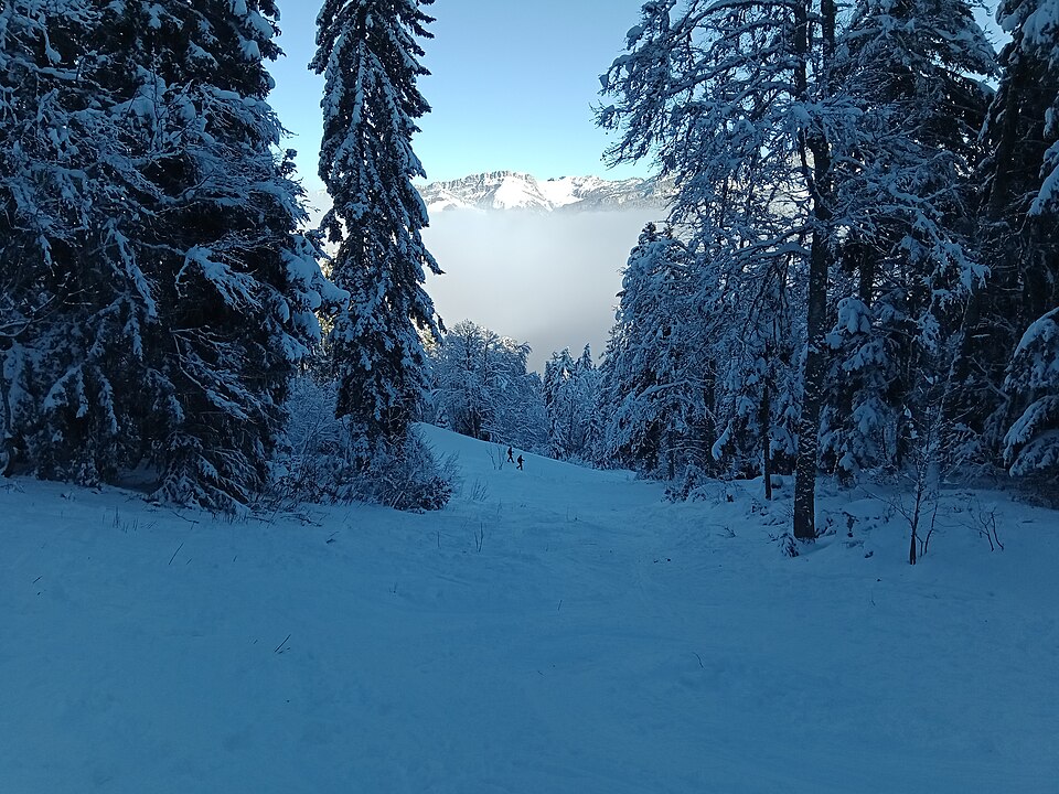 Piste enneigée dans la forêt de Chartreuse