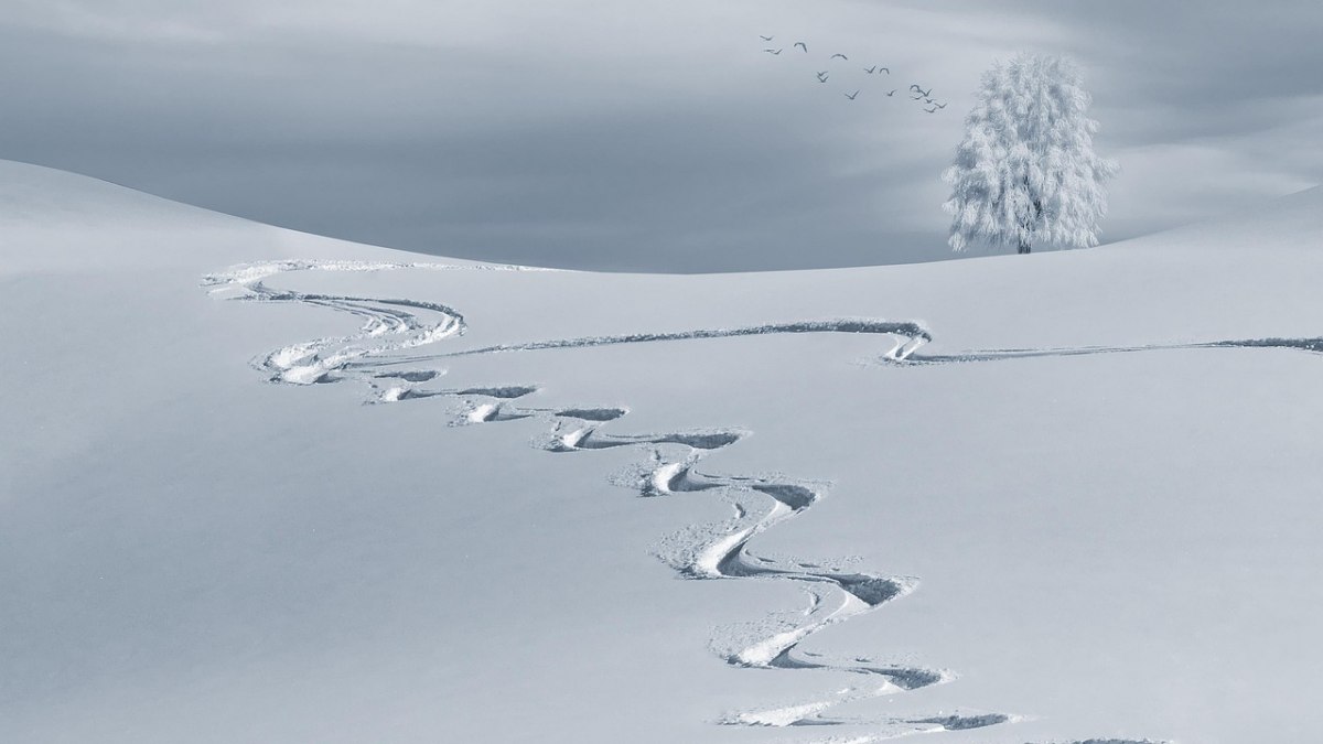 Les 7 meilleurs itinéraires de raid à ski de randonnée dans les Alpes Les 7 meilleurs itinéraires de raid à ski de randonnée dans les Alpes