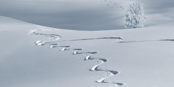 Les 7 meilleurs itinéraires de raid à ski de randonnée dans les Alpes Les 7 meilleurs itinéraires de raid à ski de randonnée dans les Alpes